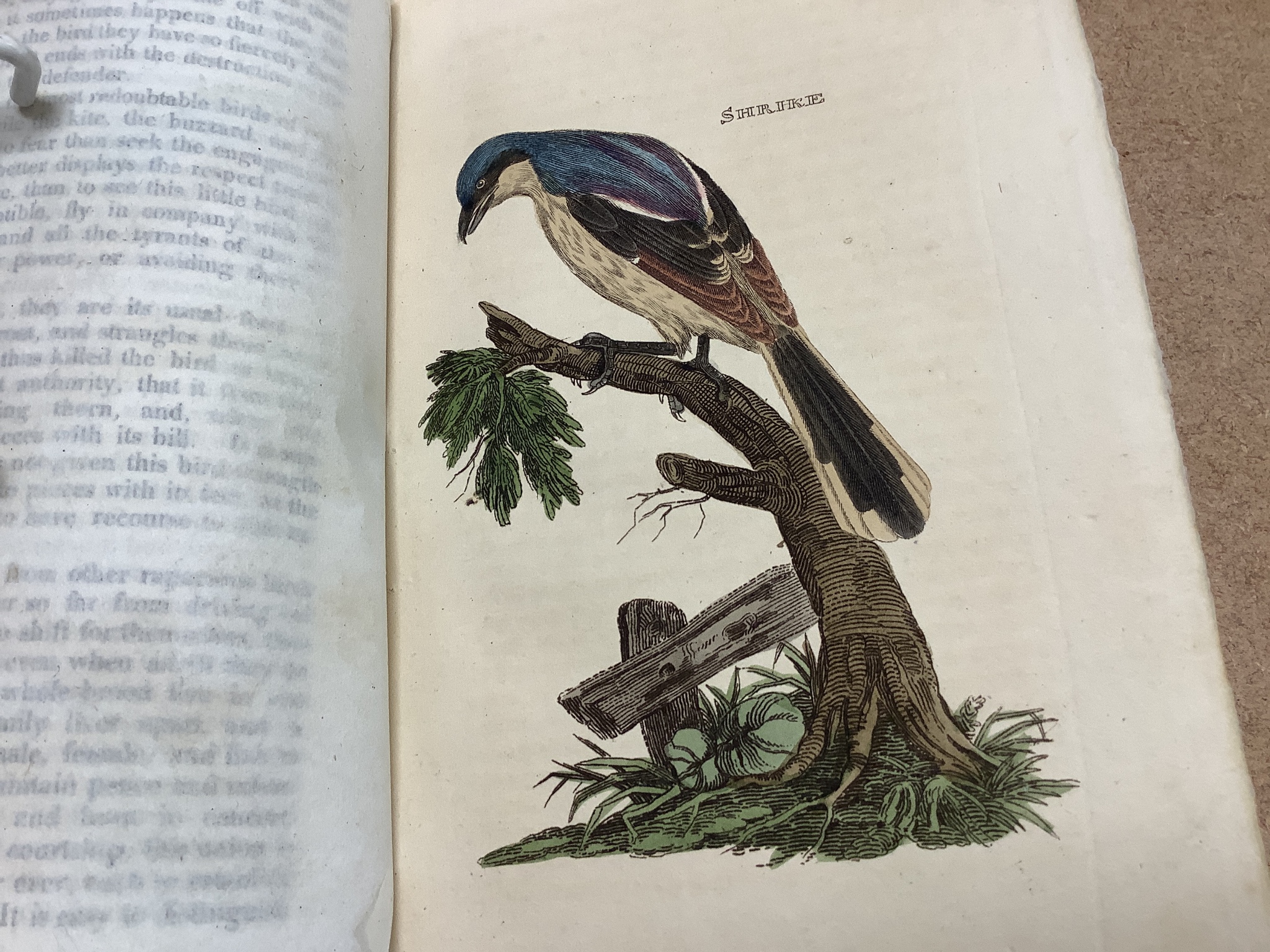 Natural- The Natural History of Birds, from the works of the Best Authors, 2 vols, 8vo, calf, joints strengthened, with 148 hand-coloured plates, Brightly and Childs, and T. Kinnersley, Bungay, 1815